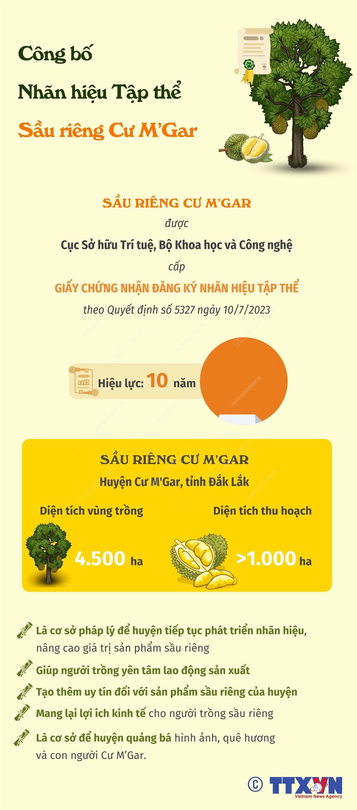 [Infographics] Công bố Nhãn hiệu Tập thể Sầu riêng Cư M’Gar ảnh 1
