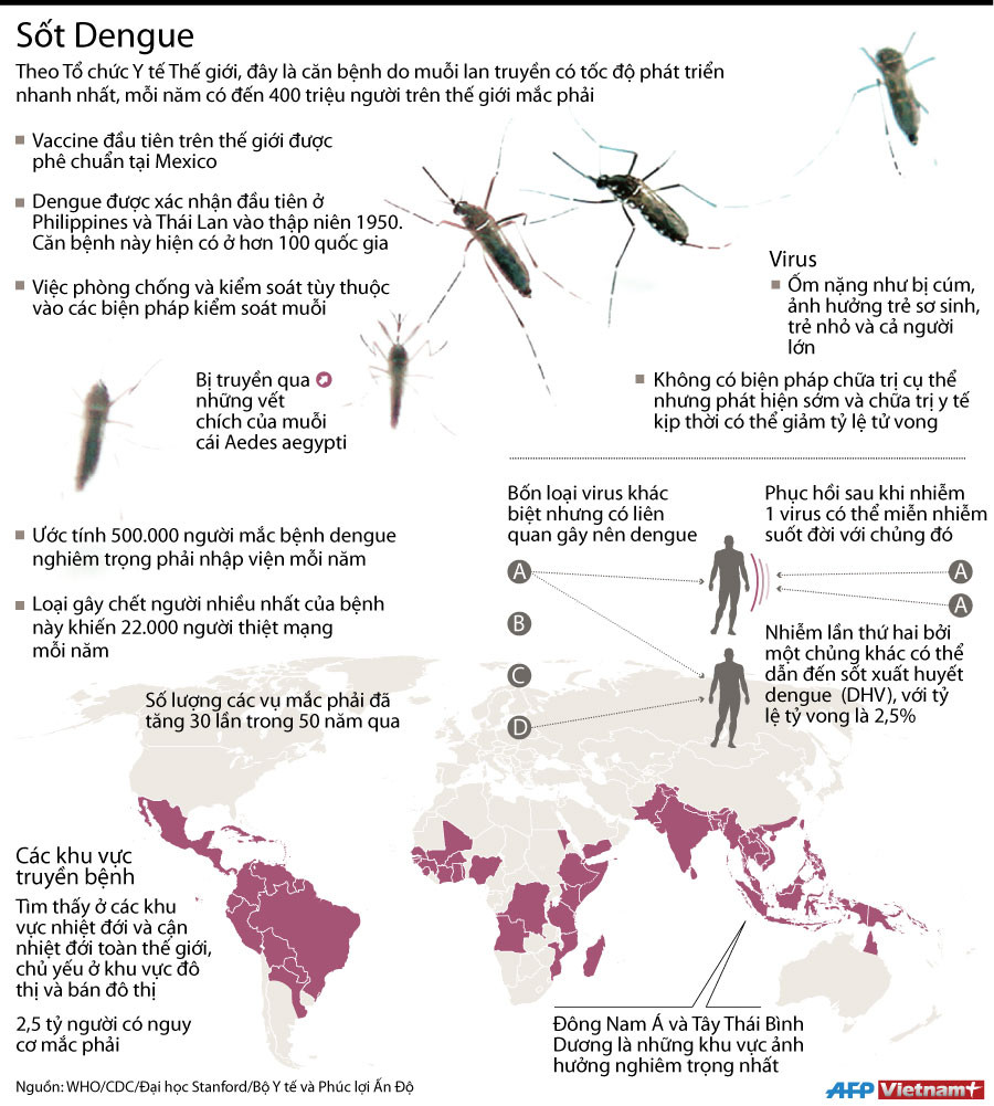 [Infographics] Khoảng 2,5 tỷ người có nguy cơ mắc sốt xuất huyết ảnh 1