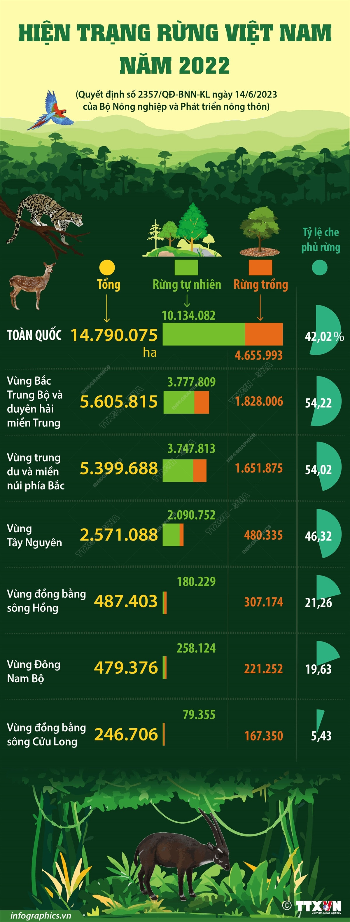 [Infographics] Tổng quan về hiện trạng rừng Việt Nam năm 2022 ảnh 1