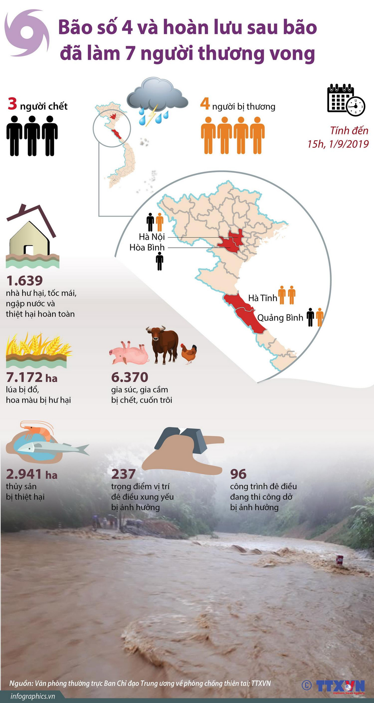 [Infographics] Thiệt hại nặng nề về người và tài sản do bão số 4 ảnh 1