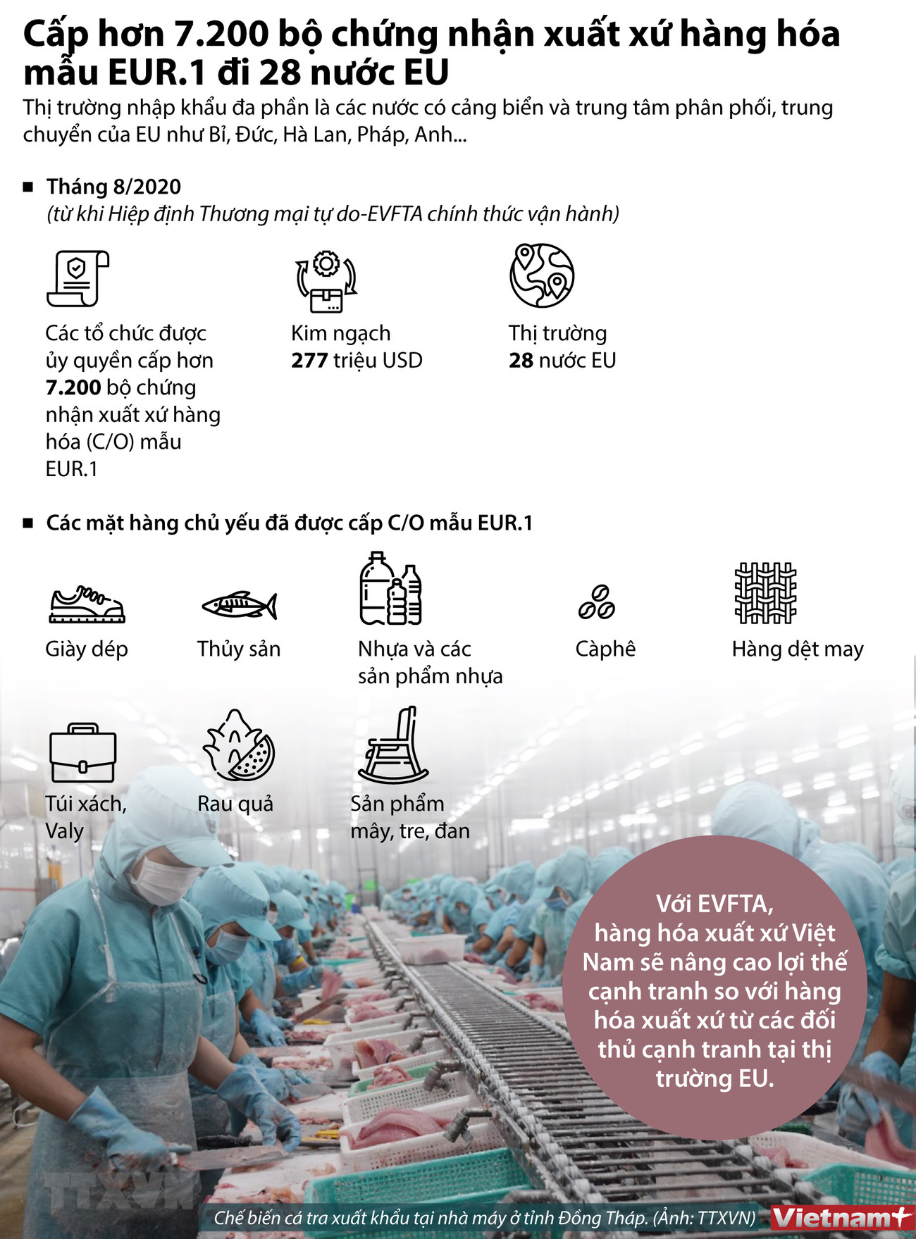 [Infographics] Cấp hơn 7.200 bộ chứng nhận xuất xứ hàng hóa đi EU ảnh 1