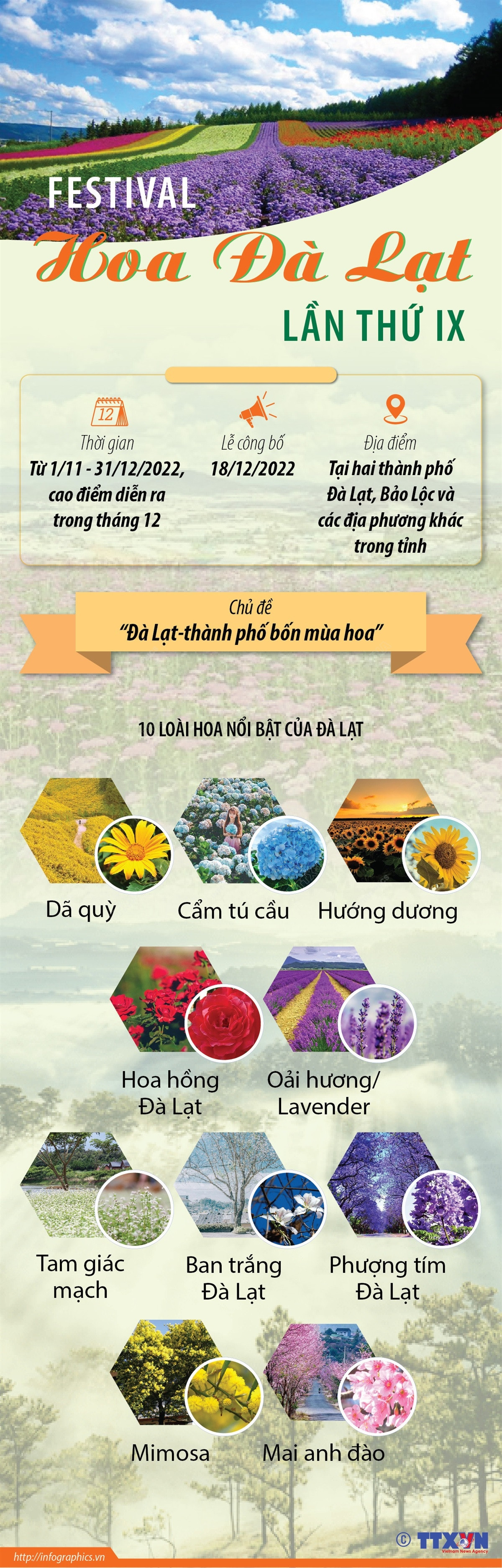 [Infographics] Festival Hoa Đà Lạt lần thứ IX tại tỉnh Lâm Đồng ảnh 1