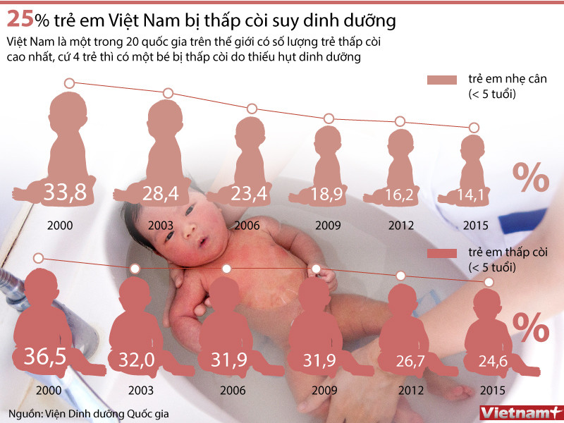 [Infographics] 25% trẻ em Việt Nam bị thấp còi, suy dinh dưỡng ảnh 1