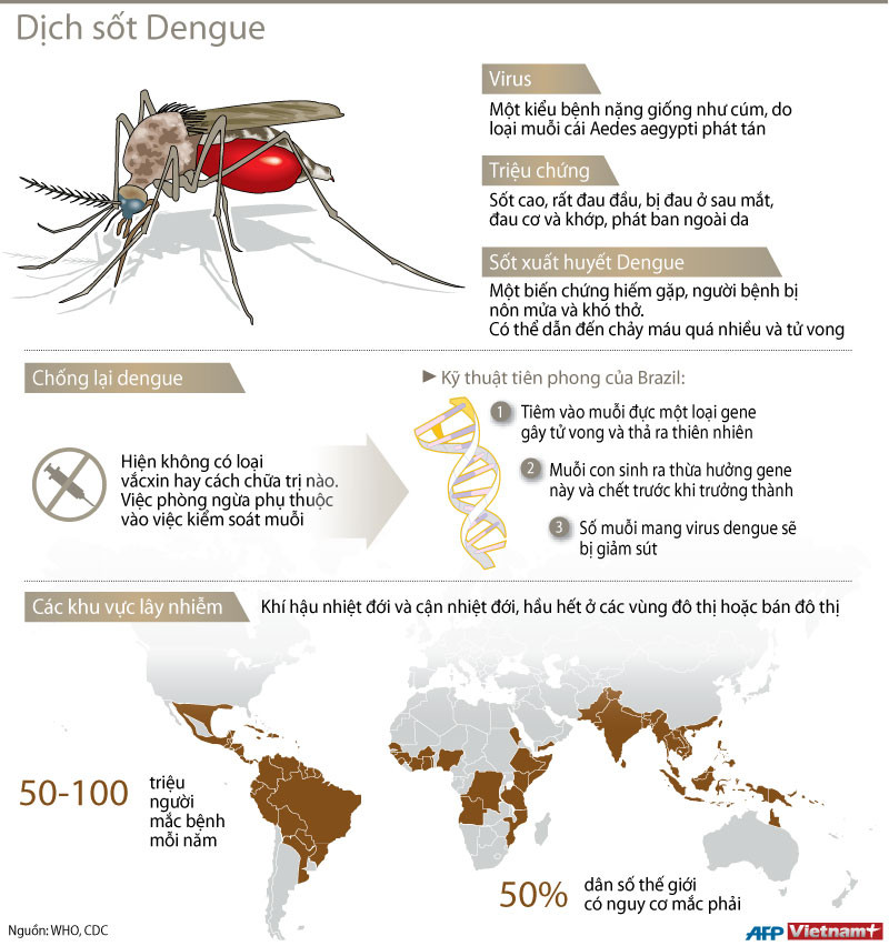 [Infographics] Tìm hiểu về căn bệnh sốt xuất huyết Dengue ảnh 1
