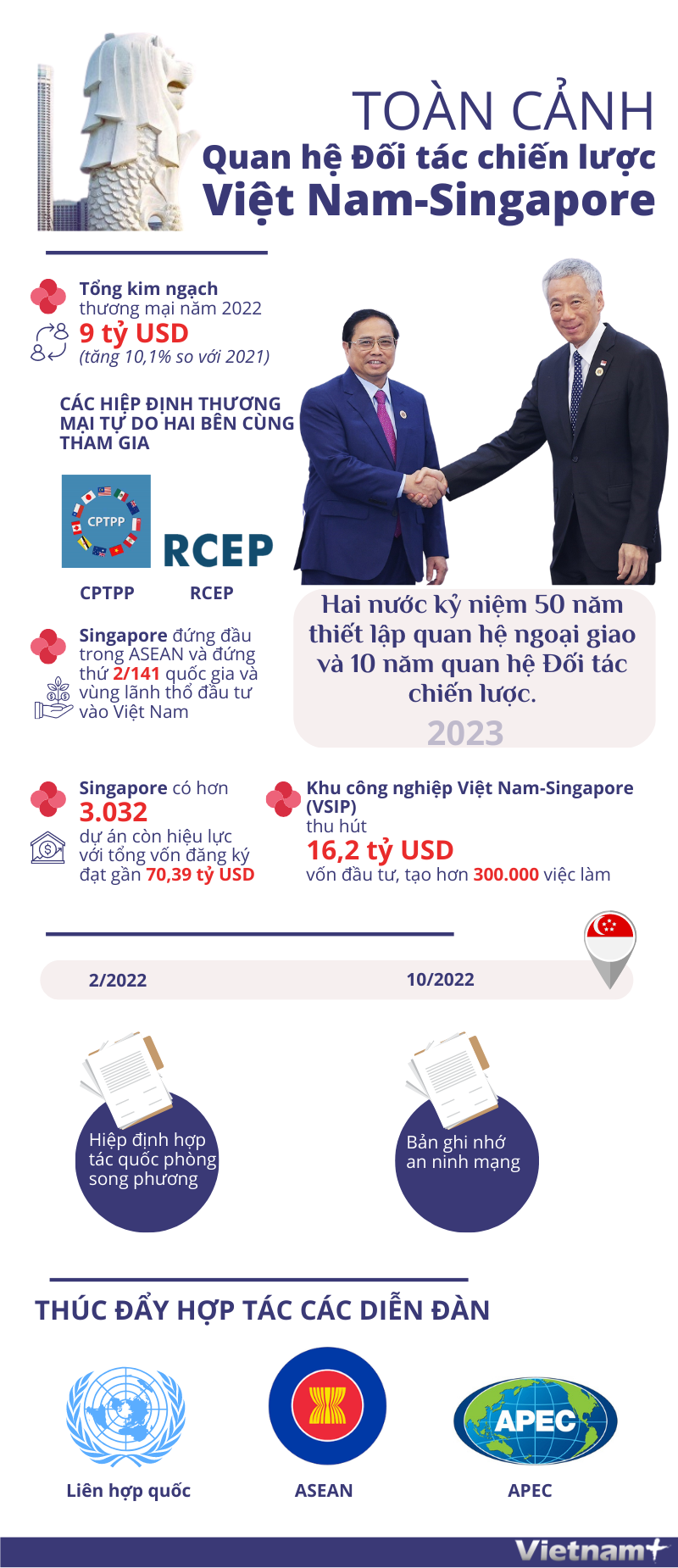 [Infographics] Toàn cảnh quan hệ Đối tác chiến lược Việt Nam-Singapore ảnh 1