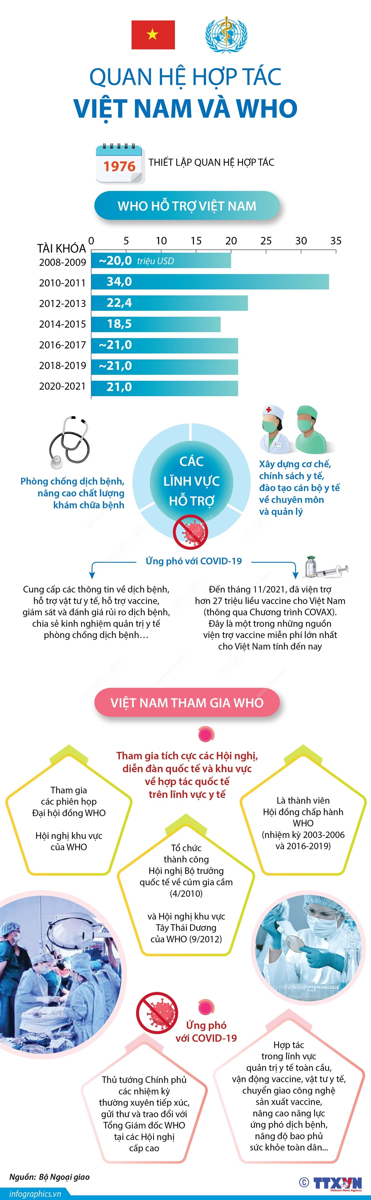 [Infographics] Mối quan hệ hợp tác giữa Việt Nam và WHO ảnh 1