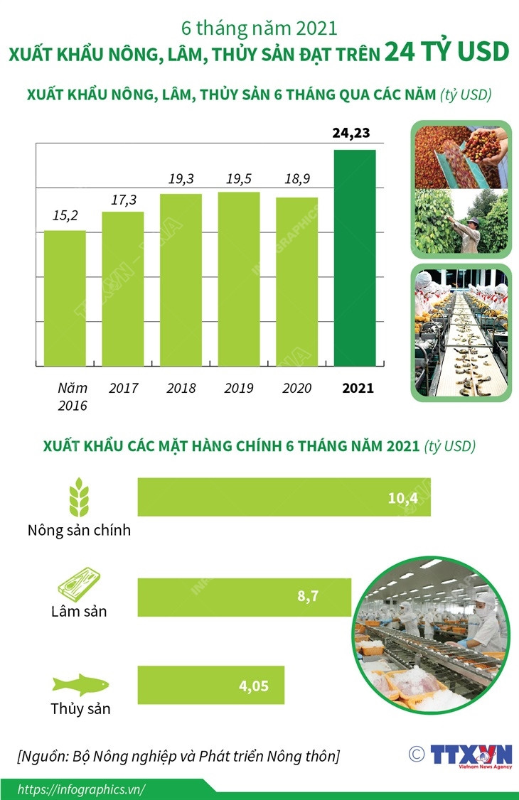 [Infographics] Xuất khẩu nông, lâm, thủy sản đạt trên 24 tỷ USD ảnh 1