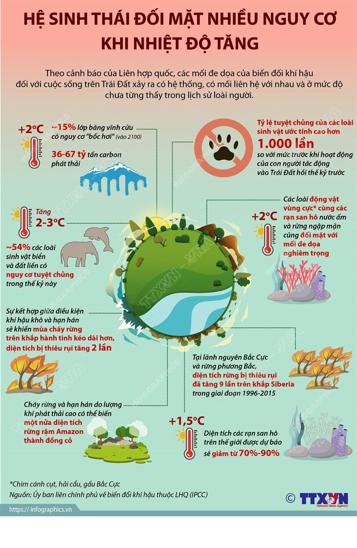 [Infographics] Hệ sinh thái đối mặt nhiều nguy cơ khi nhiệt độ tăng ảnh 1