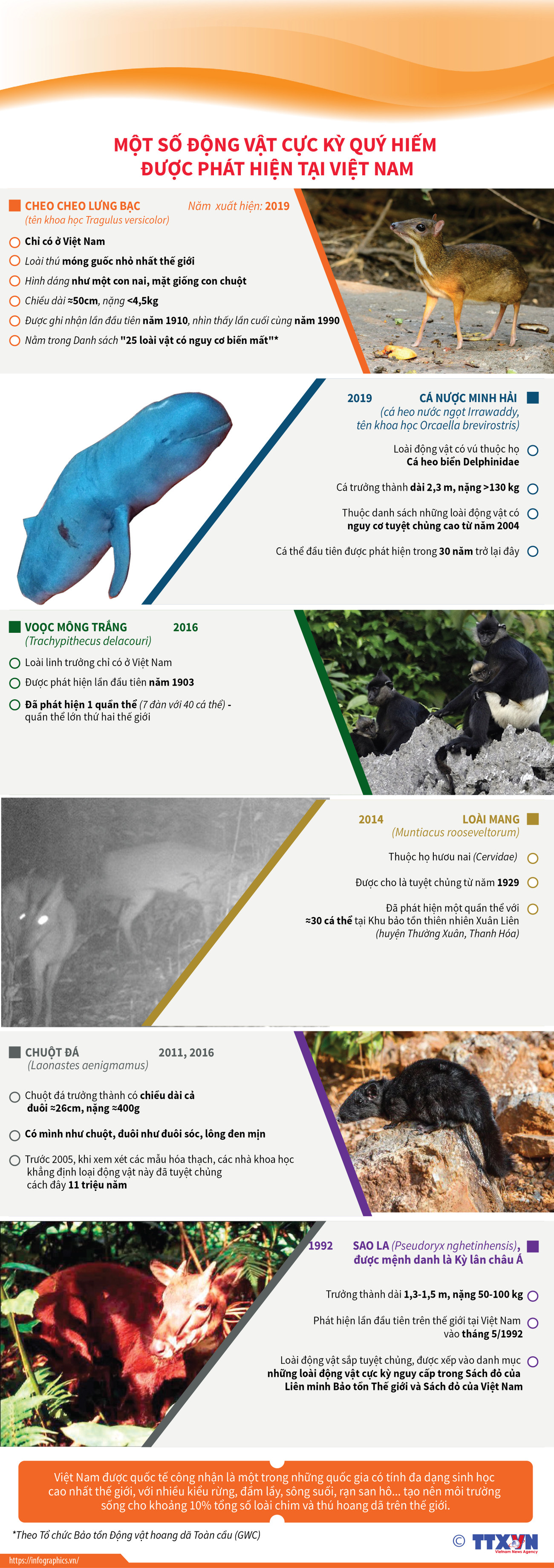 Một số động vật cực kỳ quý hiếm được phát hiện tại Việt Nam ảnh 1