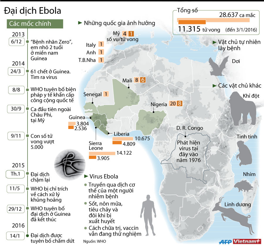 [Infographics] Nhìn lại sức tàn phá kinh hoảng của đại dịch Ebola ảnh 1