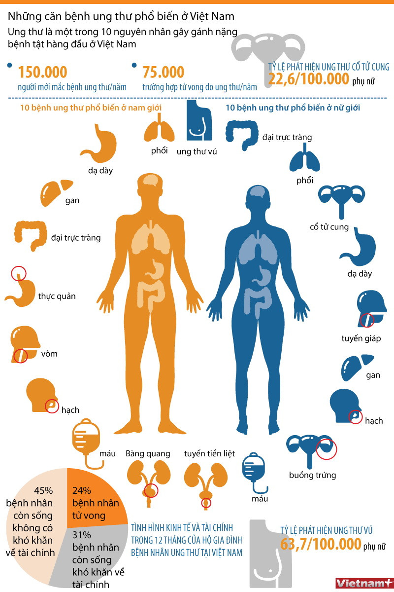 [Infographics] Những căn bệnh ung thư phổ biến ở Việt Nam ảnh 1