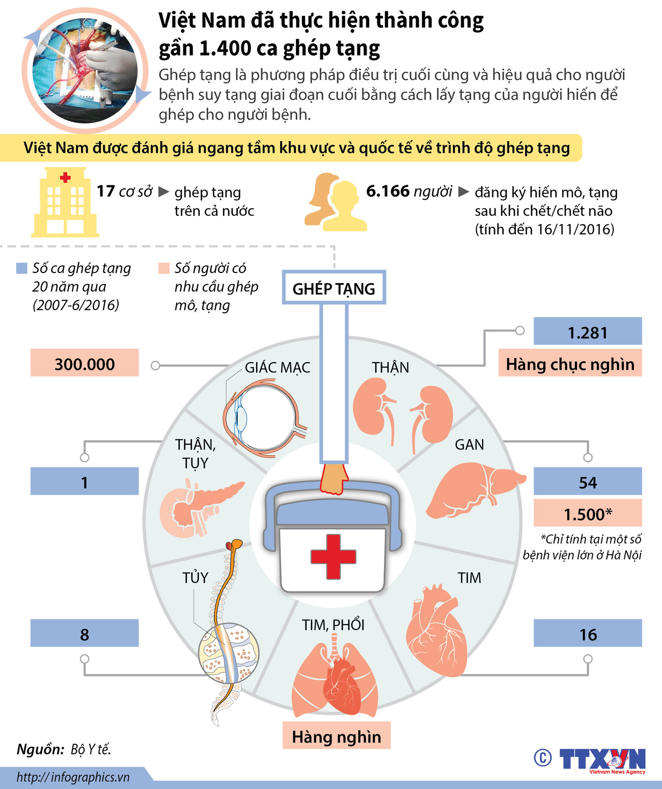 [Infographics] Việt Nam đã thực hiện thành công gần 1.400 ca ghép tạng ảnh 1