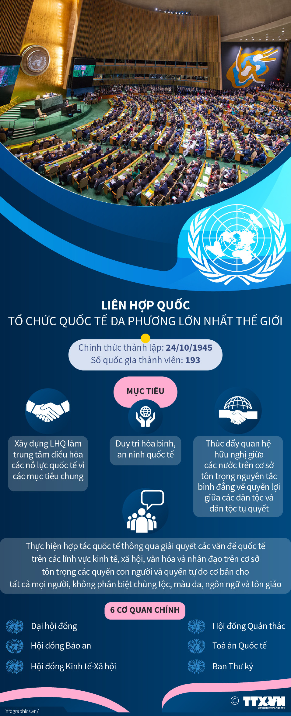 Liên hợp quốc - tổ chức quốc tế đa phương lớn nhất thế giới ảnh 1
