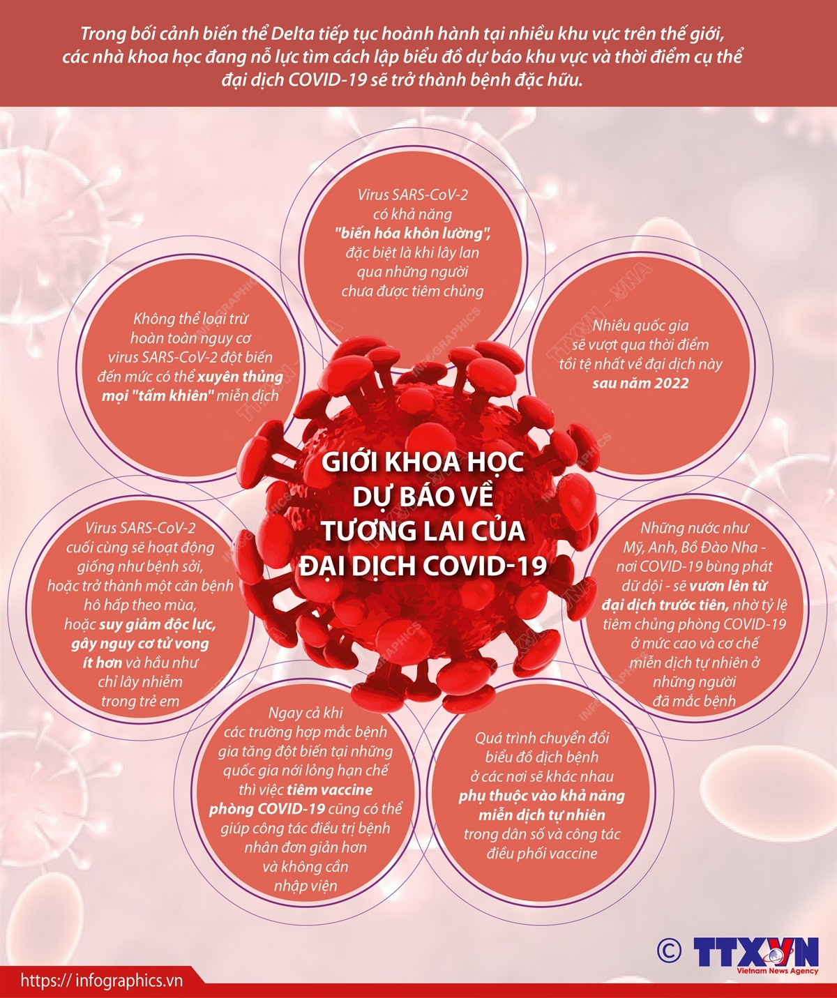 [Infographics] Giới khoa học dự báo về tương lai của đại dịch COVID-19 ảnh 1