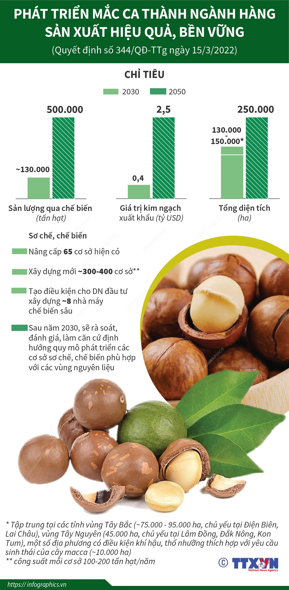 Phát triển mắcca thành ngành hàng sản xuất hiệu quả, bền vững ảnh 1