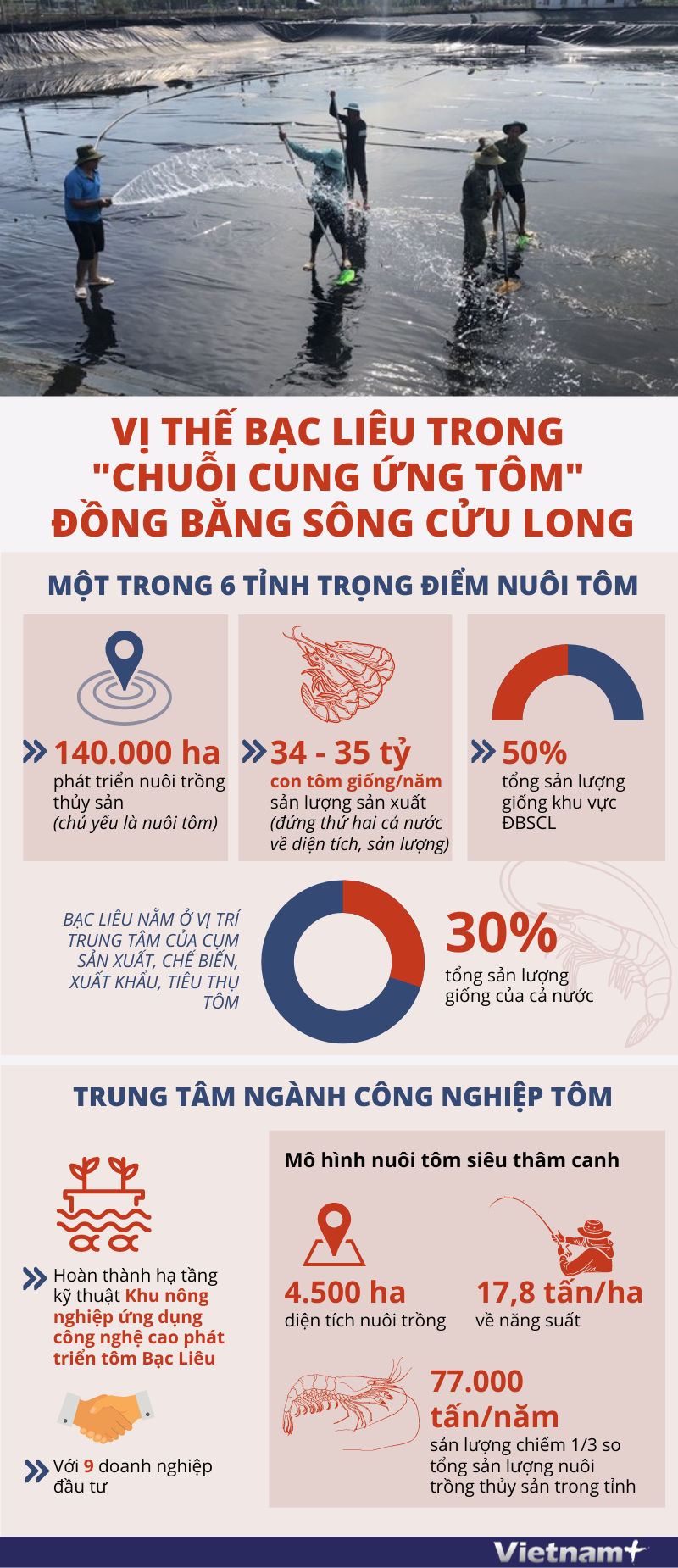 Vị thế Bạc Liêu trong 'chuỗi cung ứng tôm' Đồng bằng sông Cửu Long ảnh 1
