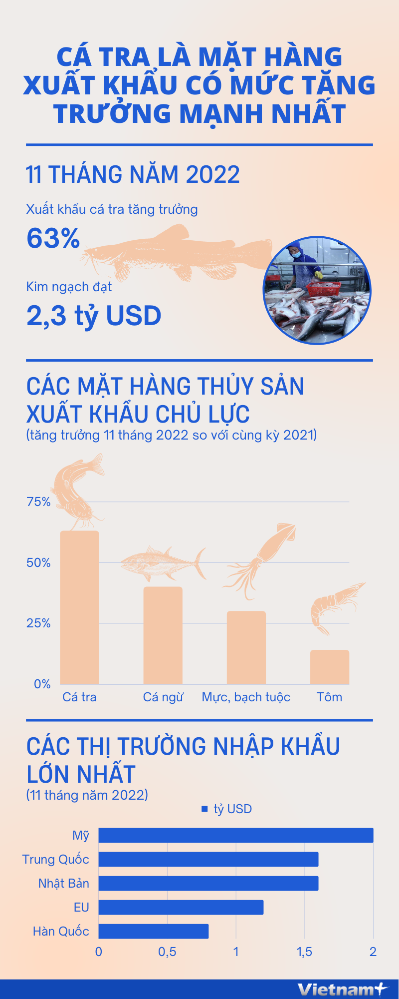 Cá tra dẫn đầu các mặt hàng thủy sản xuất khẩu chủ lực của Việt Nam ảnh 1