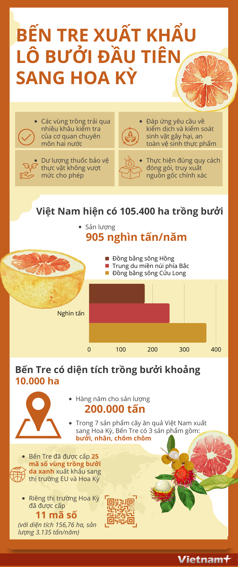 Bến Tre xuất khẩu lô bưởi đầu tiên của Việt Nam sang Hoa Kỳ ảnh 1