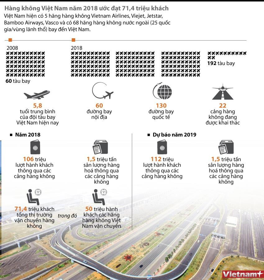 [Infographics] Hàng không Việt Nam vận chuyển 71,4 triệu khách ảnh 1