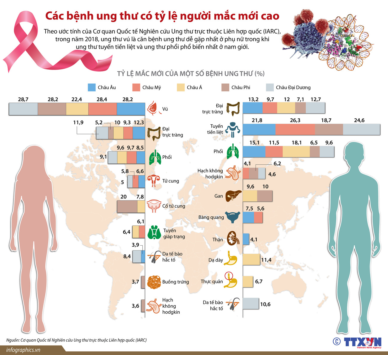 [Infographics] Các bệnh ung thư có tỷ lệ người mắc mới cao ảnh 1