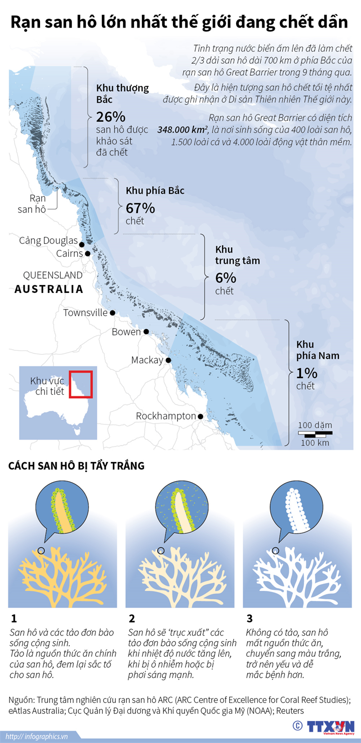 [Infographics] Rạn san hô lớn nhất thế giới đang chết dần ảnh 1