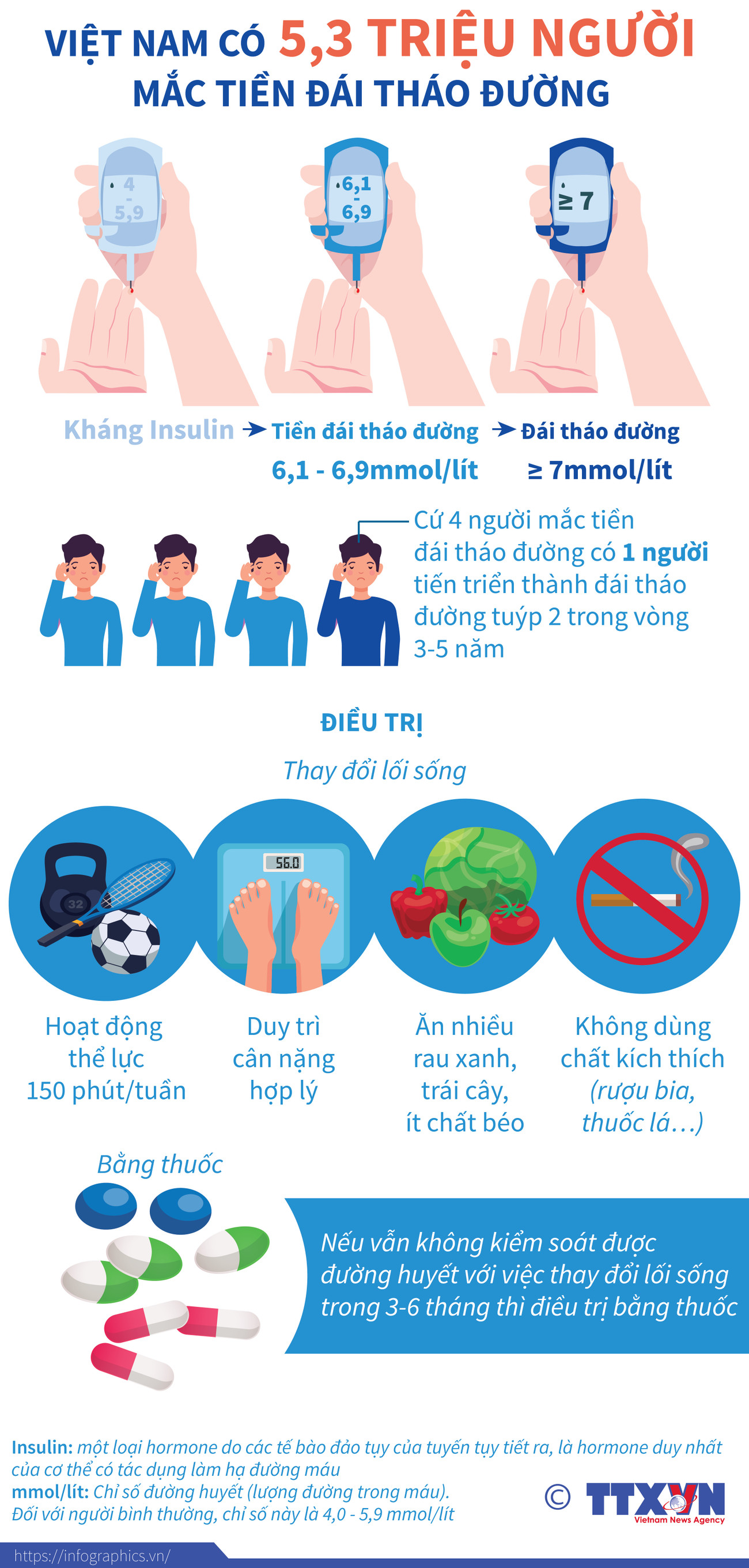[Infographics] Việt Nam có 5,3 triệu người mắc tiền đái tháo đường ảnh 1