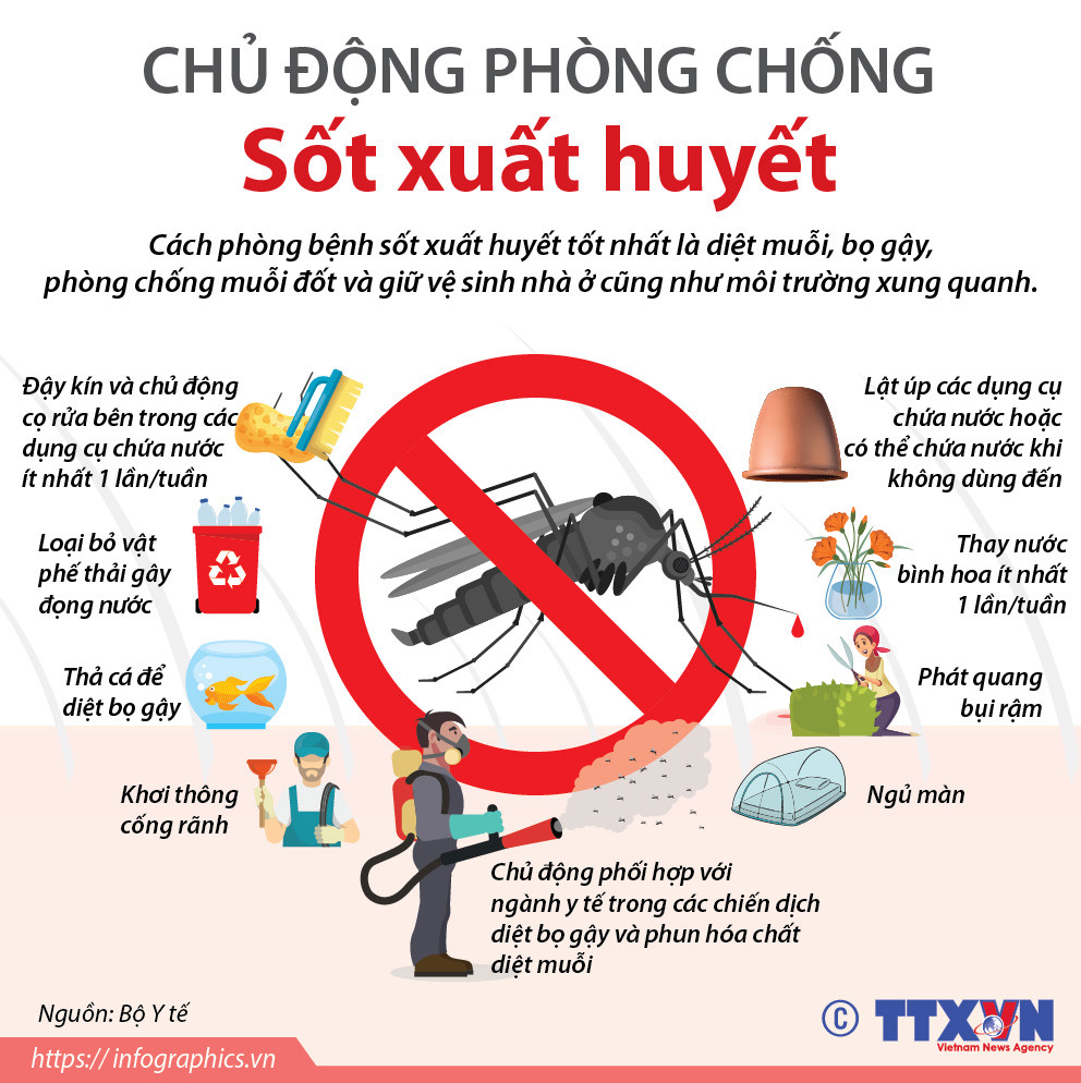 [Infographics] Chủ động phòng chống bệnh sốt xuất huyết ảnh 1