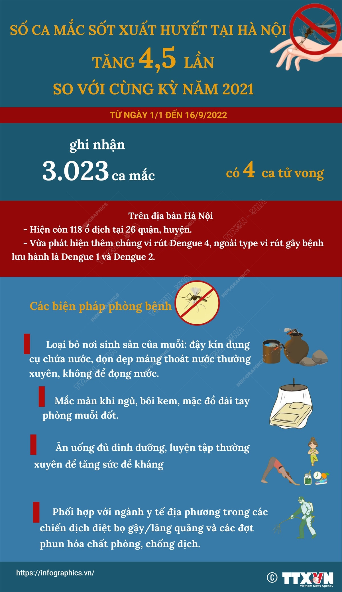 [Infographics] Số ca mắc sốt xuất huyết tại Hà Nội tăng gấp 4,5 lần ảnh 1