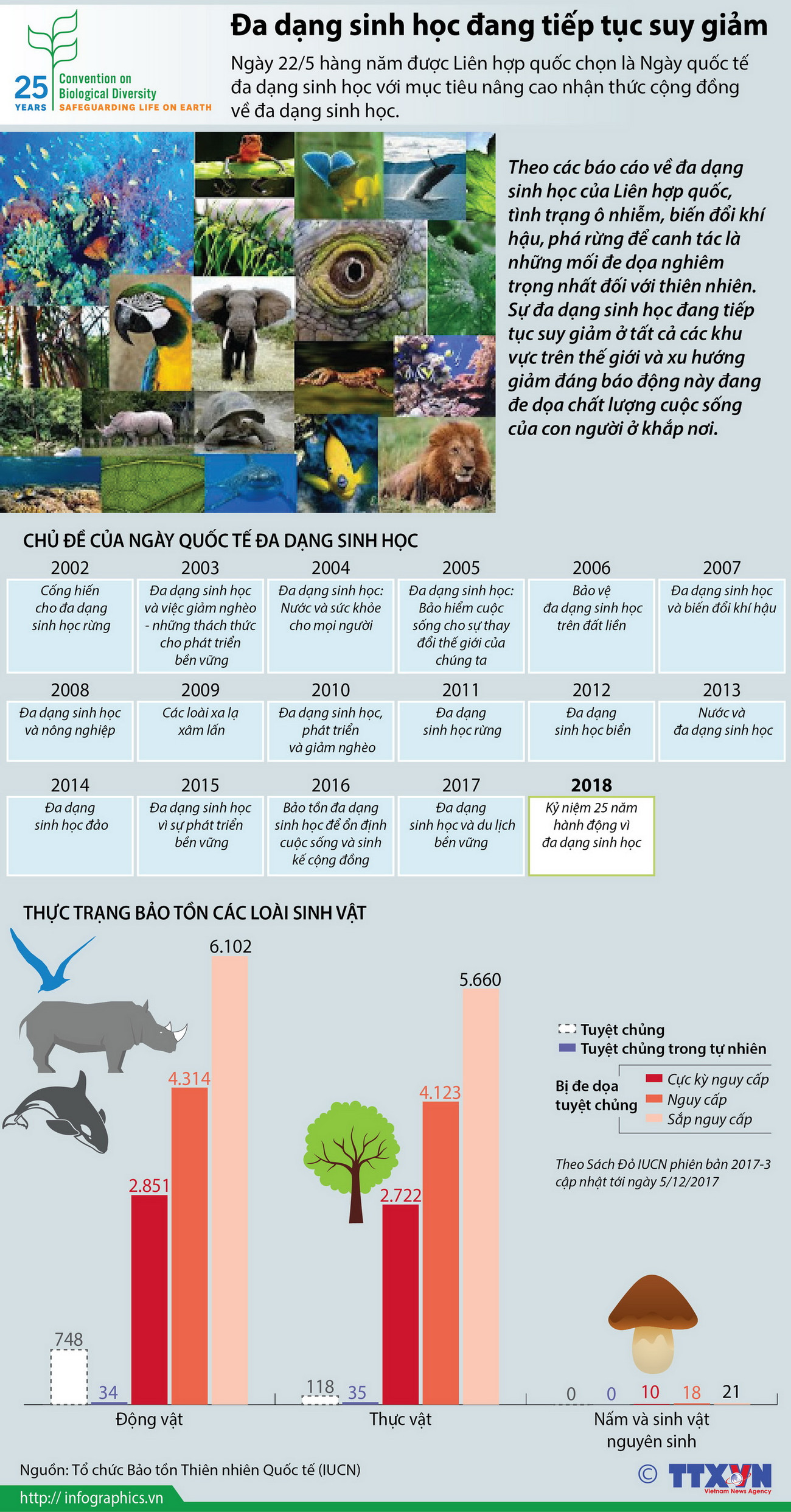 [Infographics] Cảnh báo đa dạng sinh học đang tiếp tục suy giảm ảnh 1