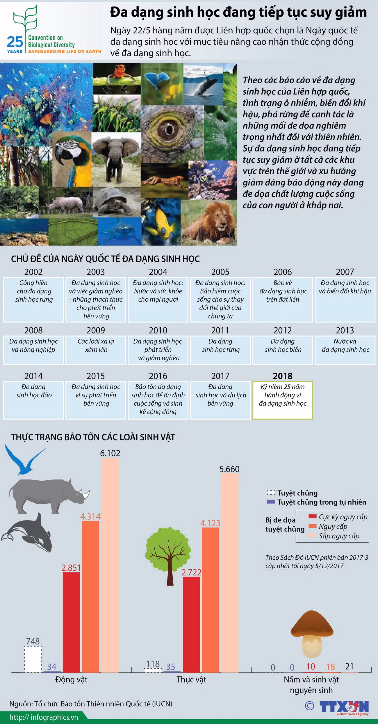 [Infographics] Cảnh báo đa dạng sinh học đang tiếp tục suy giảm ảnh 1