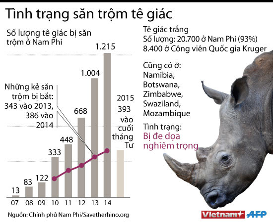 [Infographics] Toàn cảnh tình trạng săn trộm tê giác ở châu Phi ảnh 1