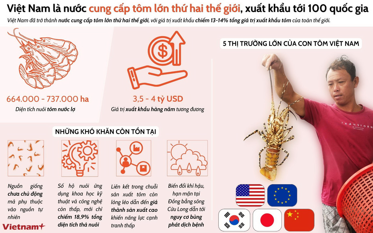 Infographic_tom viet nam 1.jpg