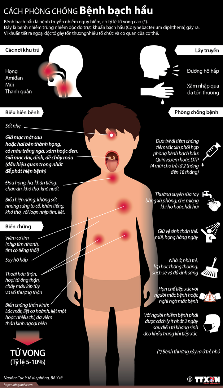 [Infographics] Cách phòng chống căn bệnh bạch hầu nguy hiểm ảnh 1