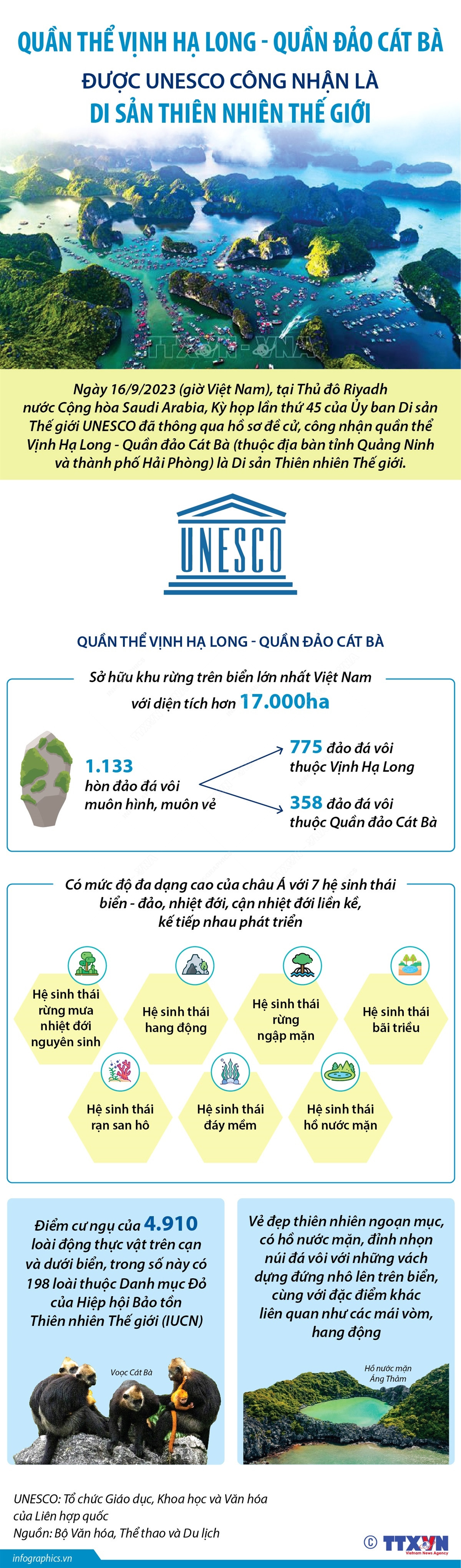 Quần thể Vịnh Hạ Long-Quần đảo Cát Bà là Di sản Thiên nhiên Thế giới ảnh 1