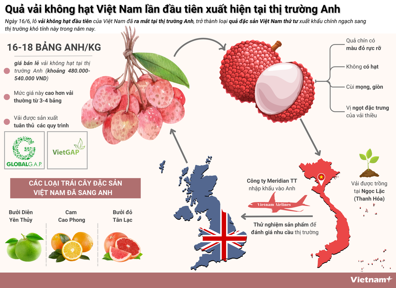 Quả vải không hạt Việt Nam lần đầu tiên xuất hiện tại thị trường Anh ảnh 1