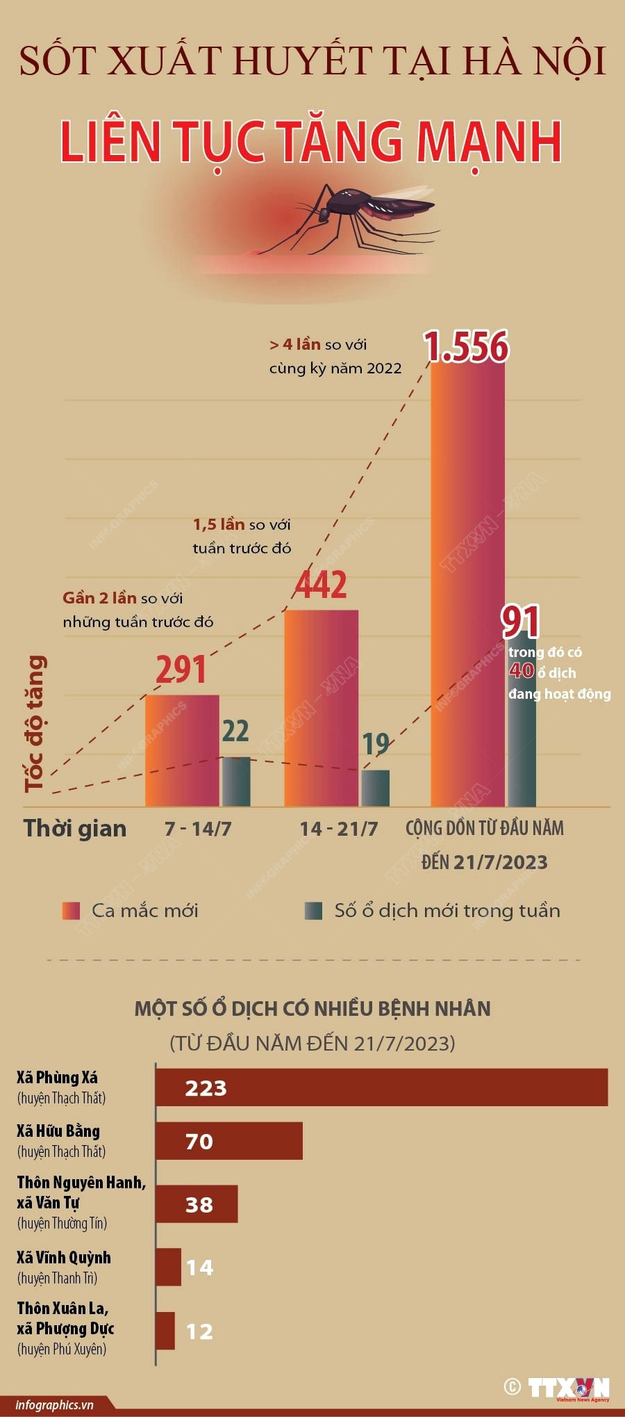 [Infographics] Số ca mắc sốt xuất huyết tại Hà Nội liên tục tăng mạnh ảnh 1