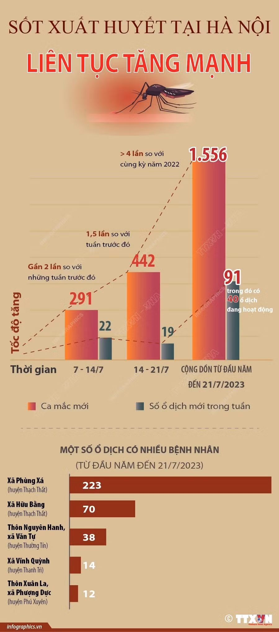 [Infographics] Số ca mắc sốt xuất huyết tại Hà Nội liên tục tăng mạnh ảnh 1