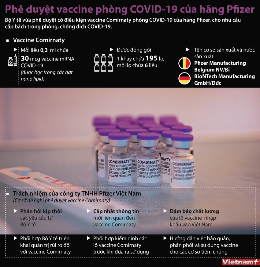 [Infographics] Phê duyệt vaccine ngừa COVID-19 của Pfizer/BioNTech ảnh 1