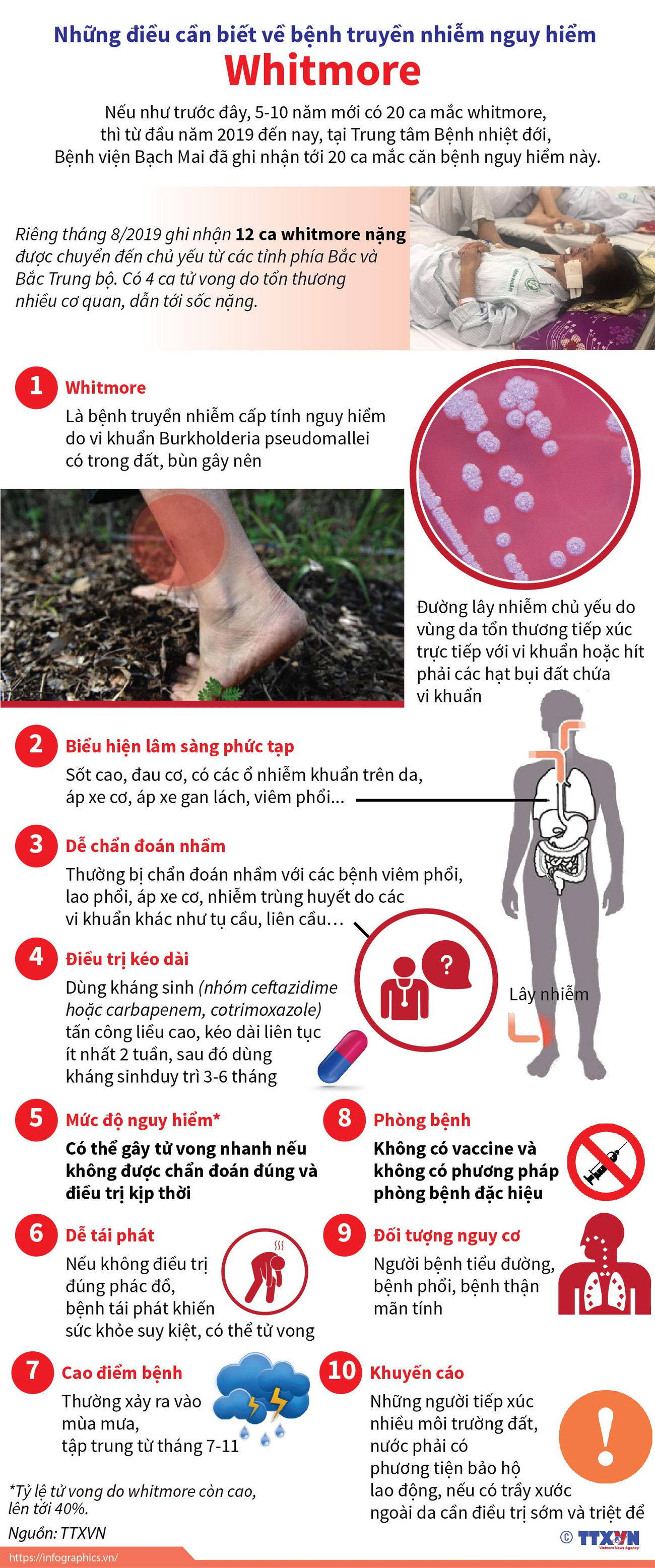 [Infographics] Điều cần biết về bệnh truyền nhiễm nguy hiểm Whitmore ảnh 1