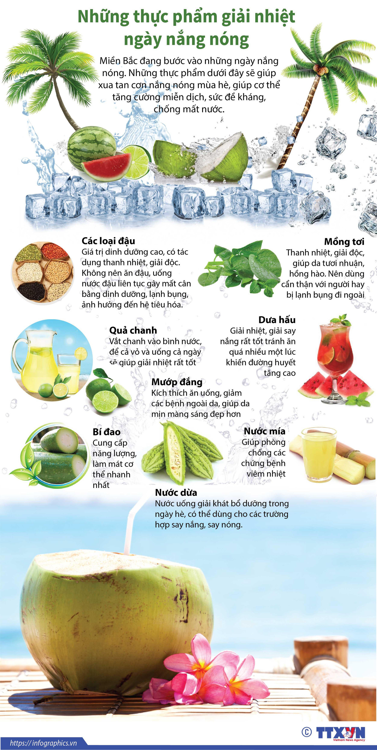 [Infographics] Những thực phẩm giải nhiệt ngày nắng nóng ảnh 1