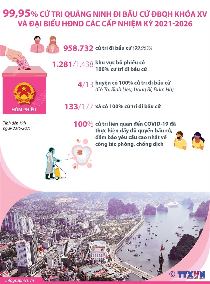 99,95% cử tri Quảng Ninh đi bầu cử ĐBQH và đại biểu HĐND các cấp ảnh 1
