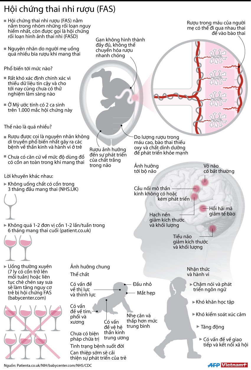 [Infographics] Những điều chưa biết về hội chứng thai nhi rượu ảnh 1