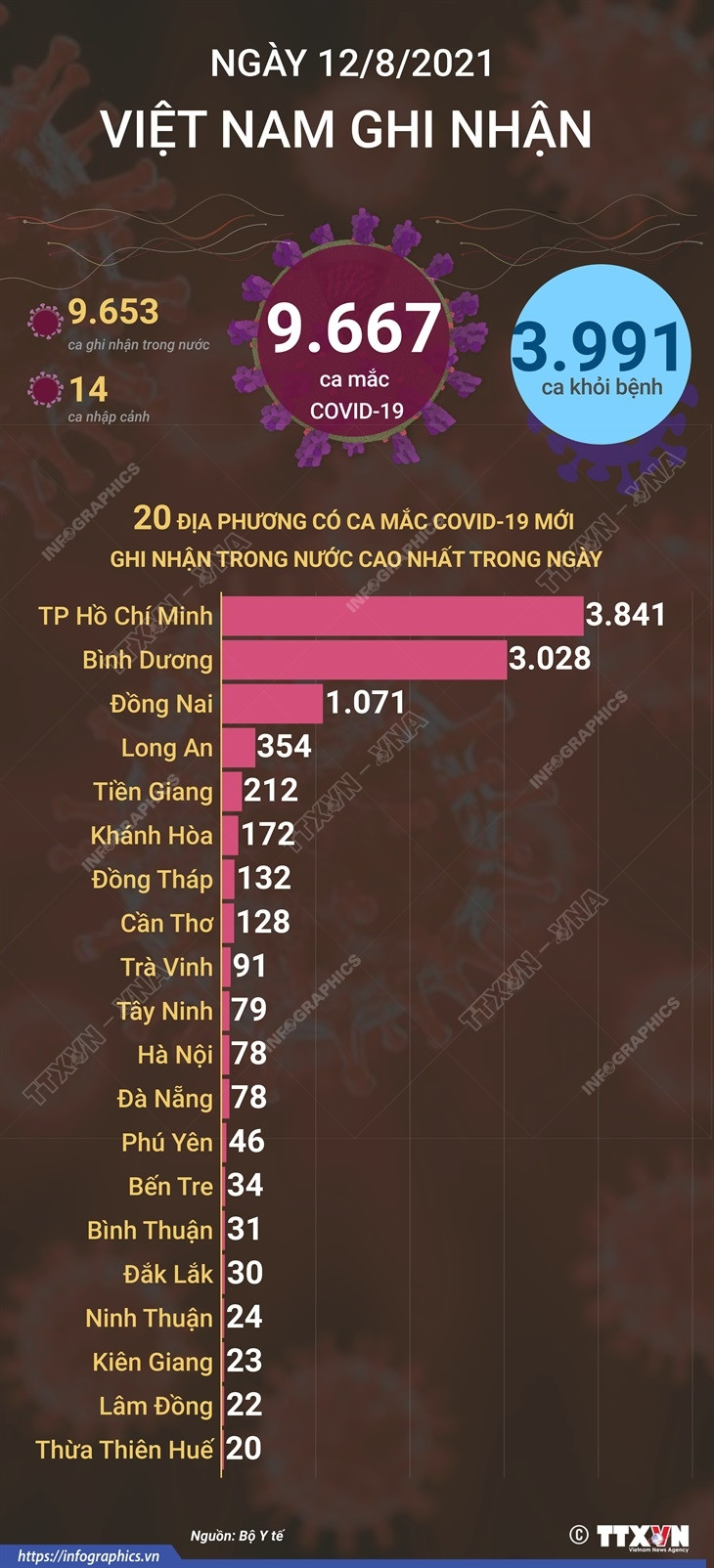 [Infographics] 9.667 trường hợp mắc COVID-19 trong ngày 12/8 ảnh 1