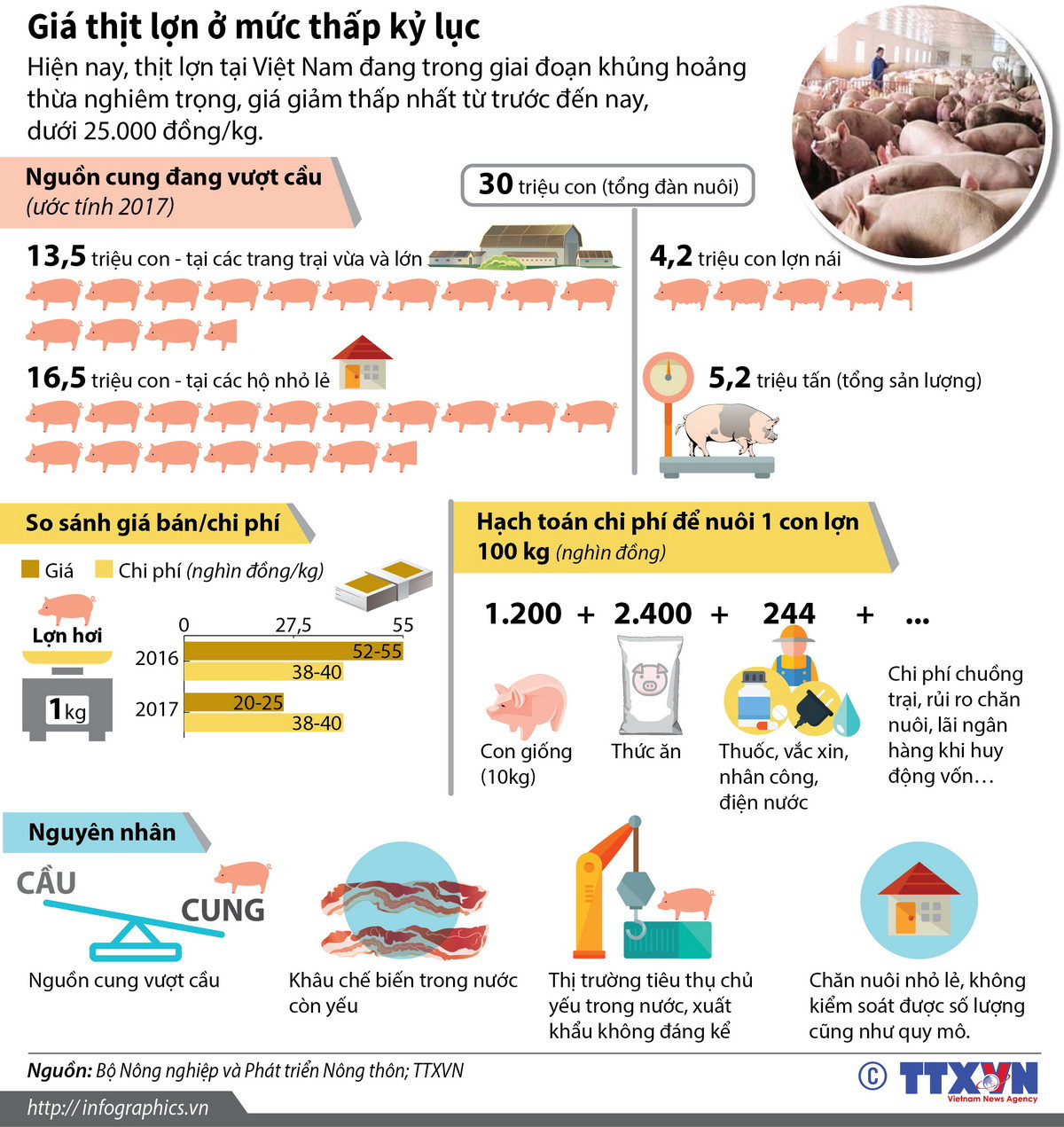 [Infographics] Giá thịt lợn giảm xuống mức thấp nhất từ trước đến nay ảnh 1