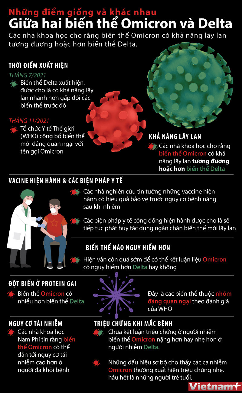 Biến thể Omicron và biến thể Delta giống và khác nhau như thế nào? ảnh 1