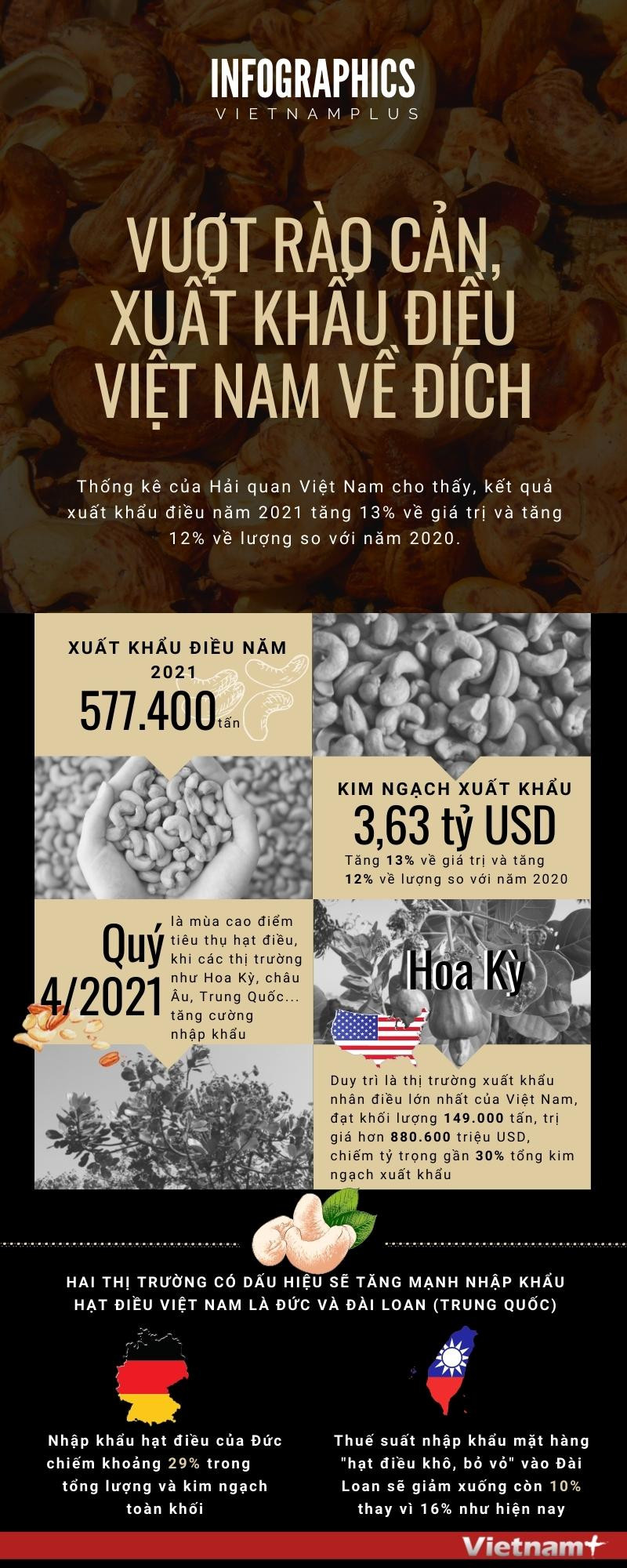 [Infographics] Xuất khẩu hạt điều của Việt Nam về đích sớm ảnh 1