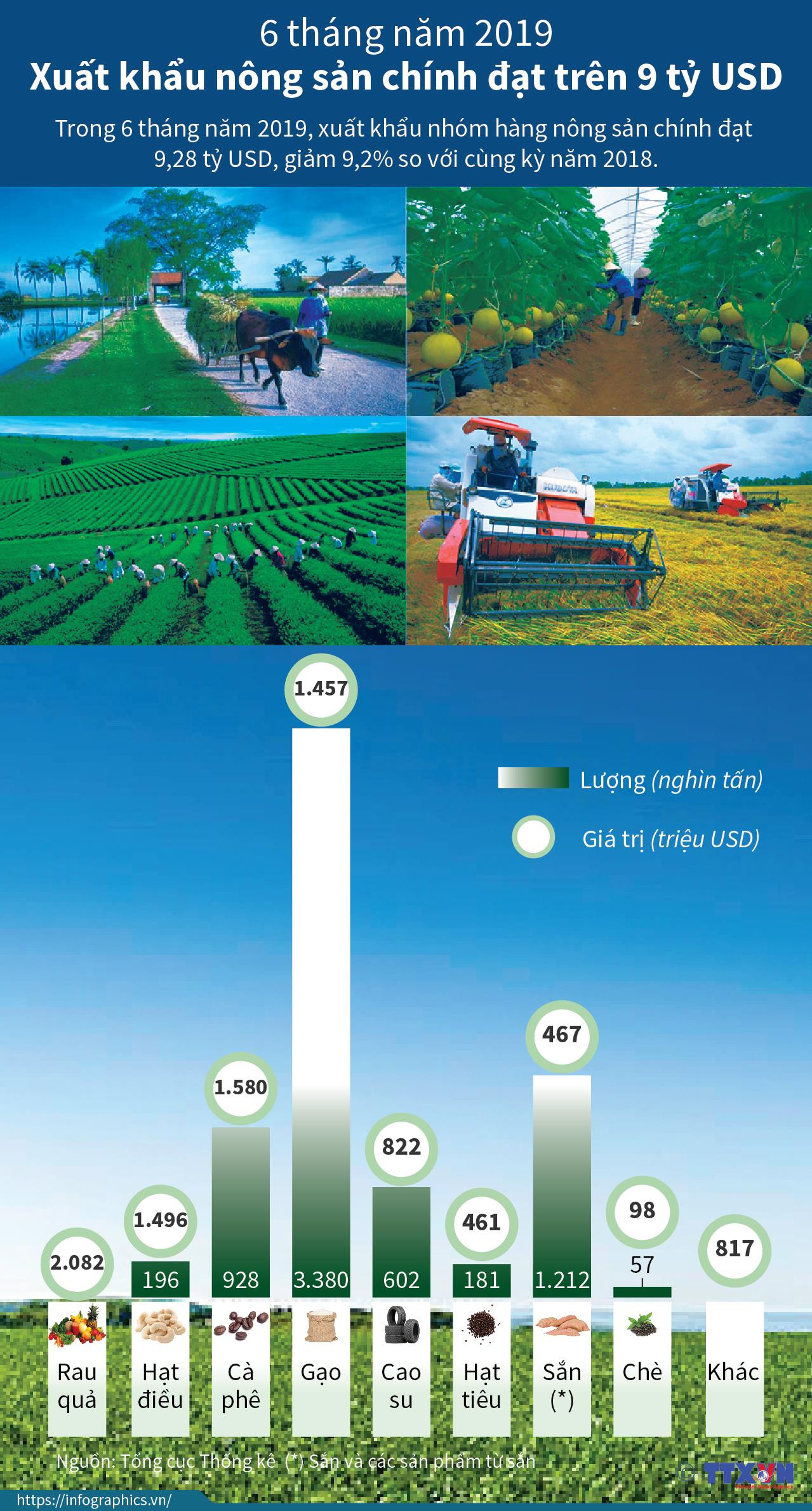 [Infographics] Xuất khẩu nông sản chính đạt trên 9 tỷ USD ảnh 1