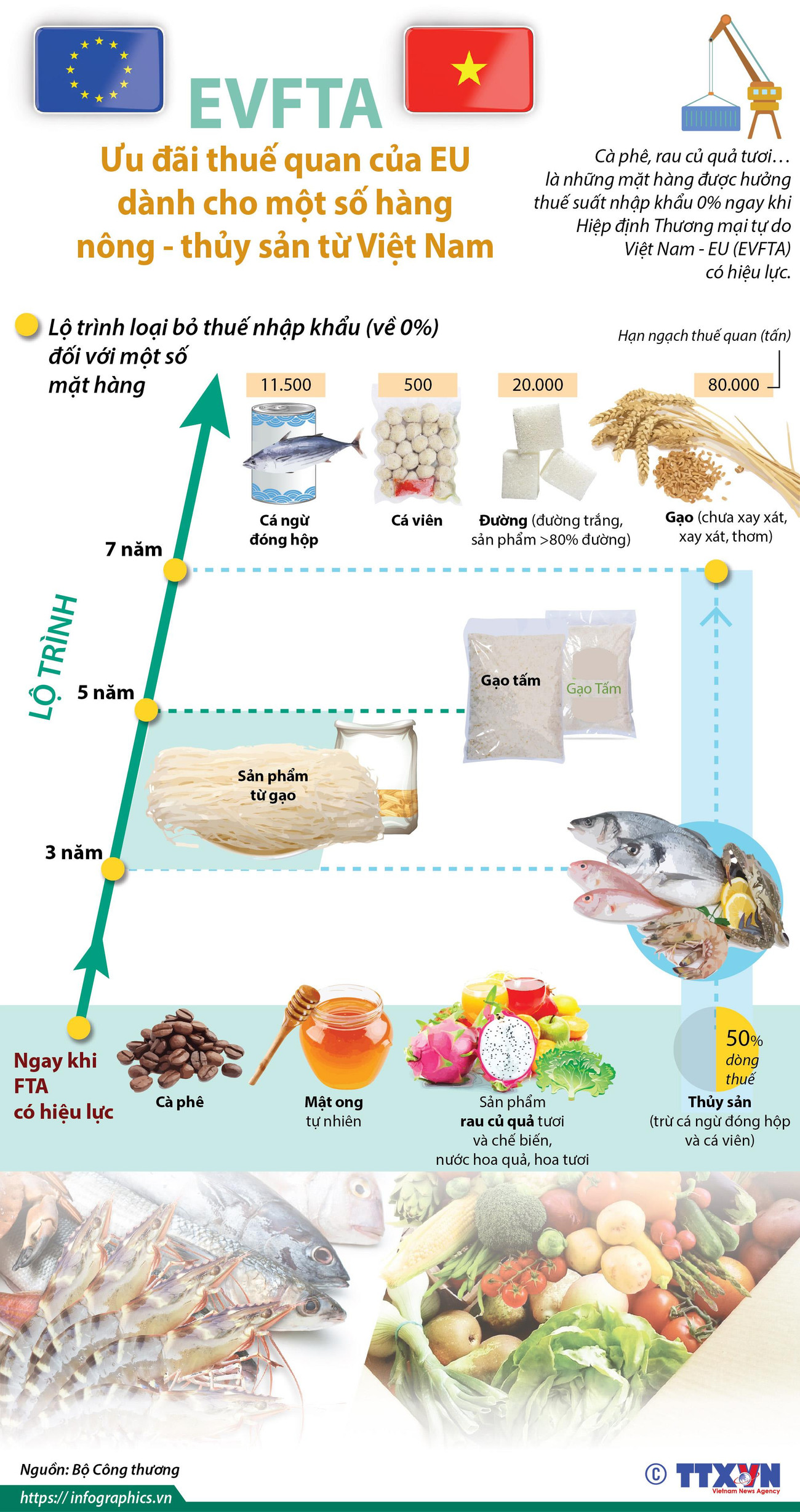 [Infographics] Ưu đãi thuế của EU cho hàng nông thủy sản Việt Nam ảnh 1
