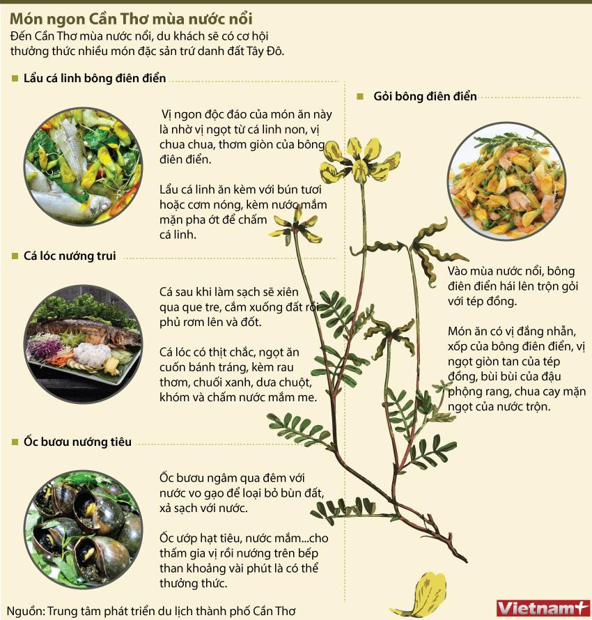 [Infographics] Thưởng thức món ngon Cần Thơ mùa nước nổi ảnh 1