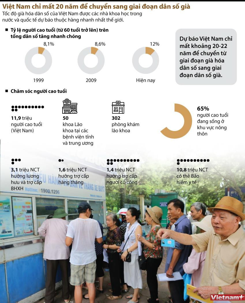 Việt Nam chỉ mất 20 năm để chuyển sang giai đoạn dân số già ảnh 1